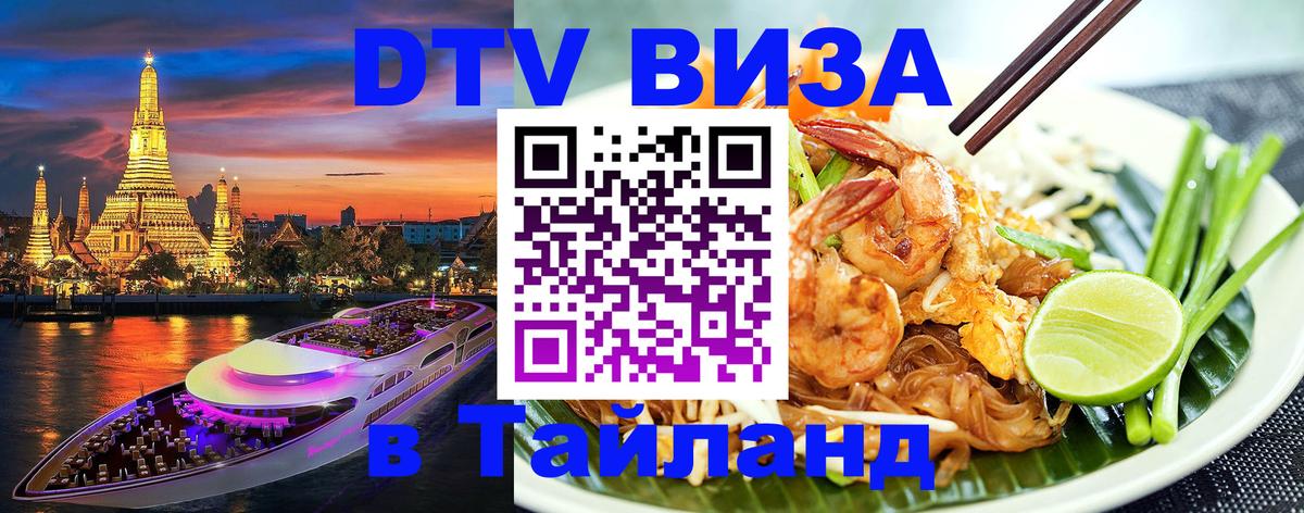 Оформление DTV визы под ключ: стоимость и тарифы, только загранпаспорт - Хабаровск  19.11.2025 